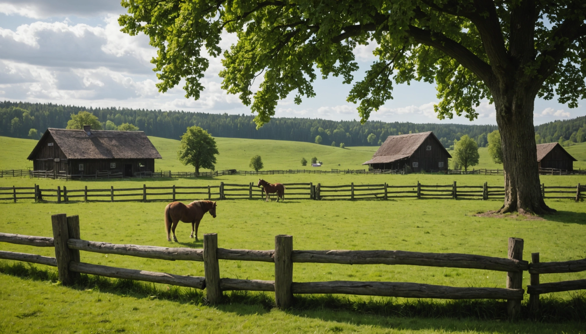 leben kein ponyhof